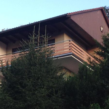 Bergoase Apartment Bad Lauterberg Bagian luar foto